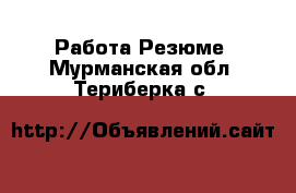 Работа Резюме. Мурманская обл.,Териберка с.